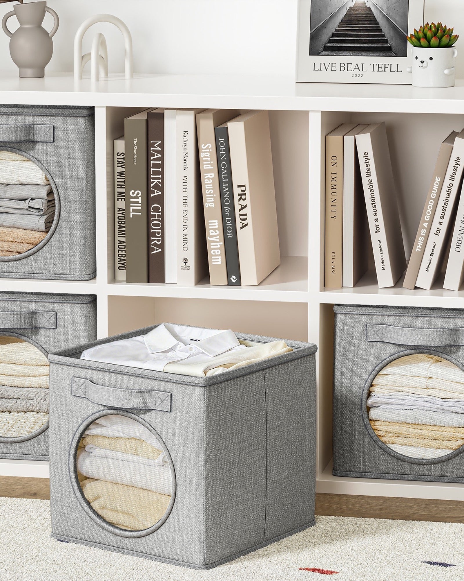 Closet shelf storage